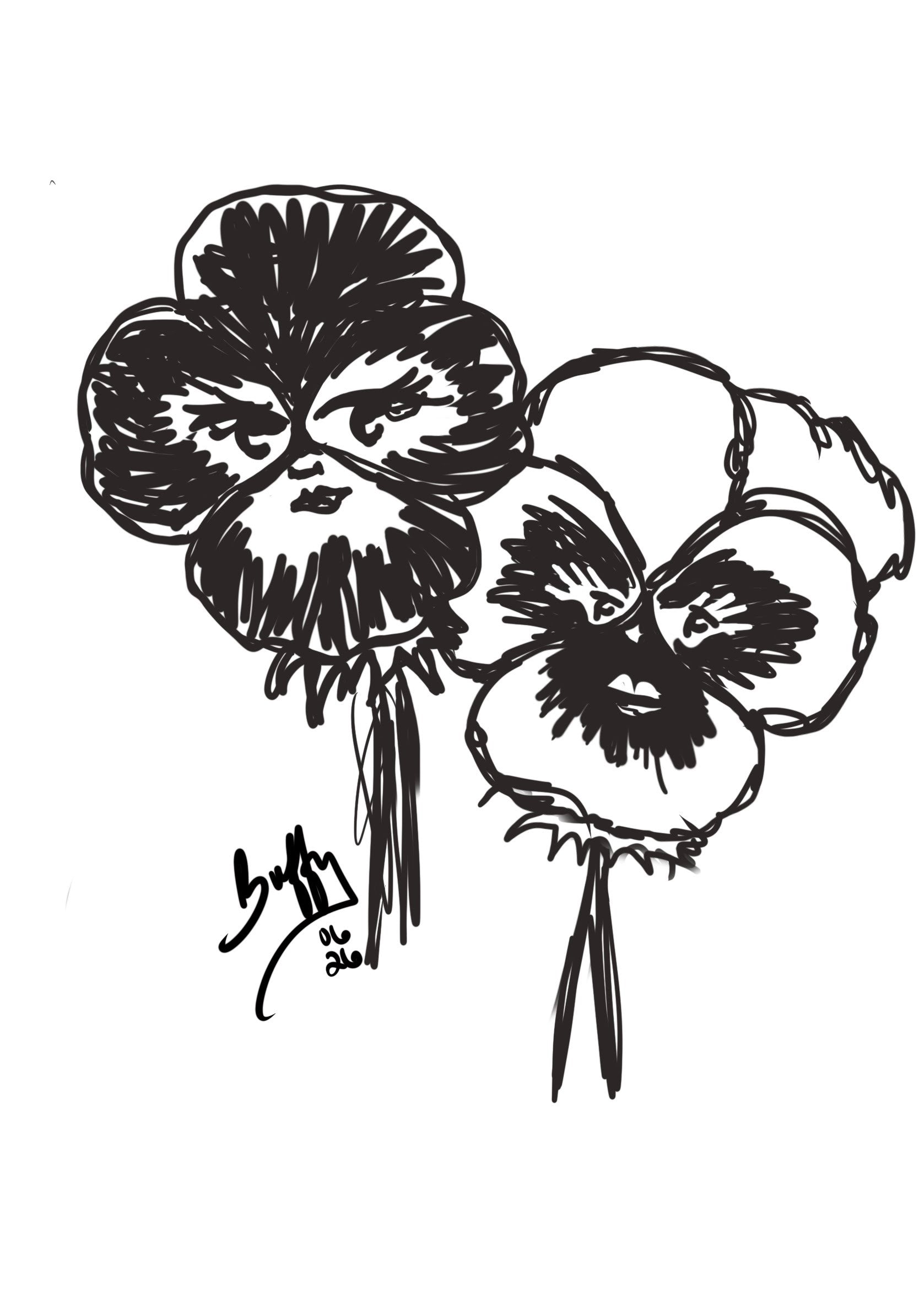 Pansies Print